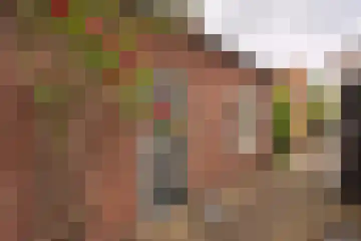 Peeleik 8 Helmond thumbnail 82