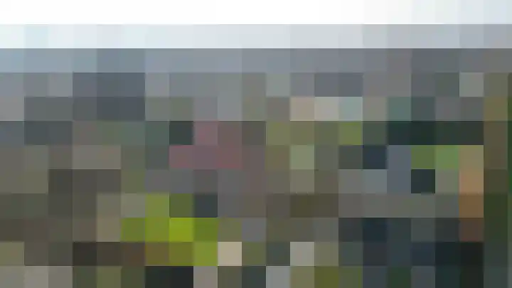 Peeleik 8 Helmond thumbnail 82