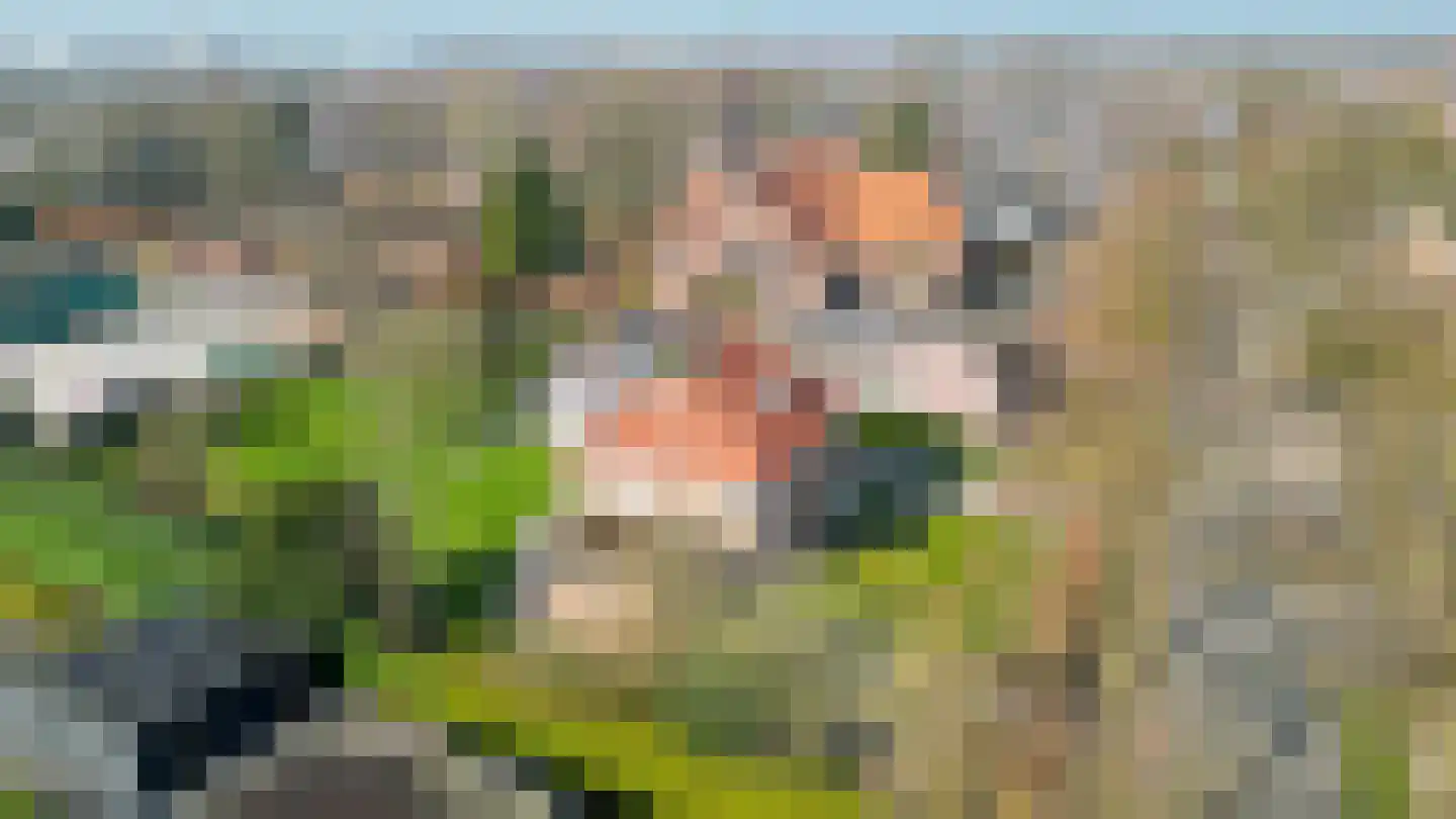 Peeleik 8 Helmond thumbnail 83