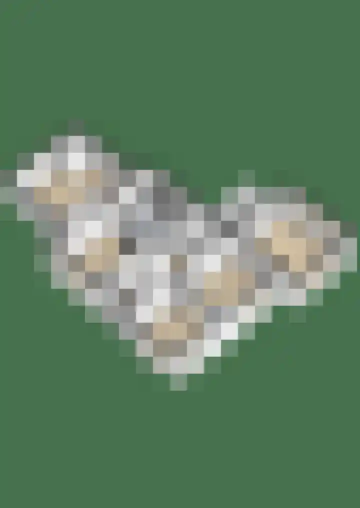 Peeleik 8 Helmond thumbnail 85