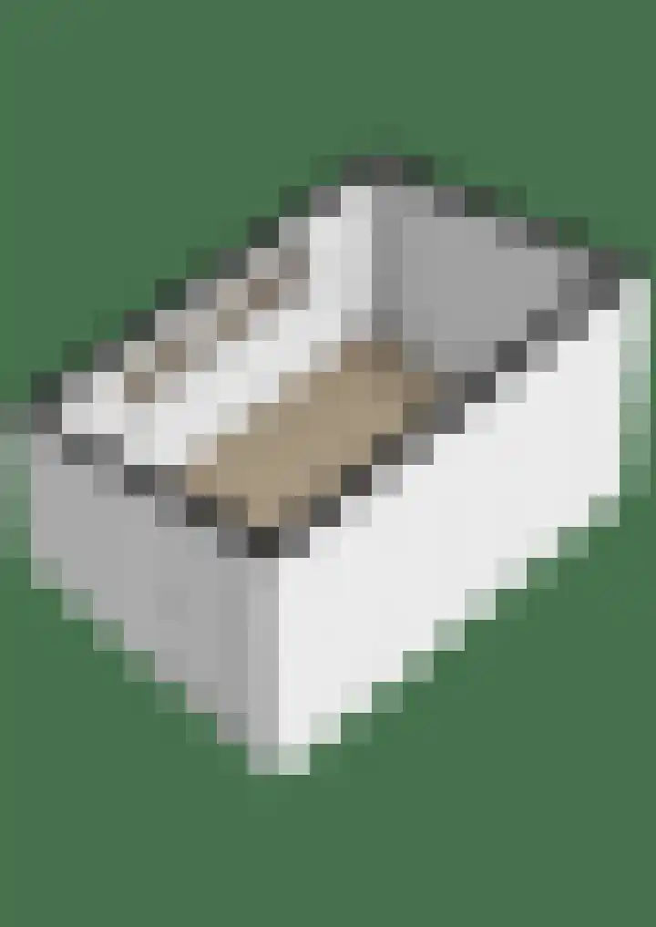 Peeleik 8 Helmond thumbnail 89