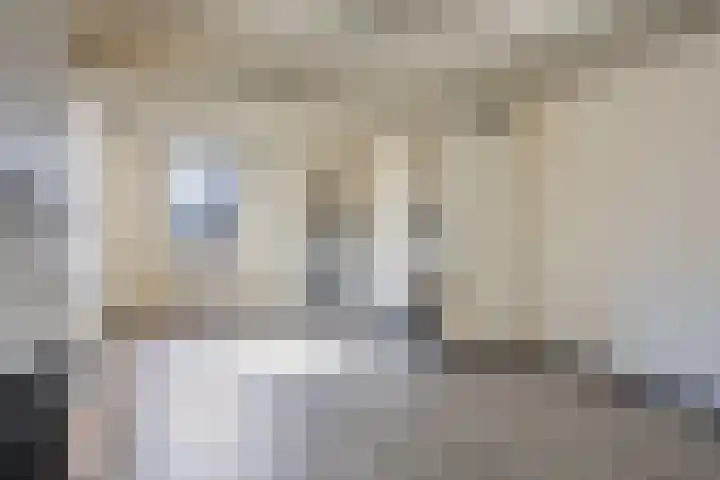 Peeleik 8 Helmond thumbnail 92