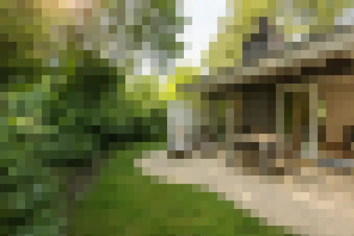 Peelheideweg 25 T 670 America