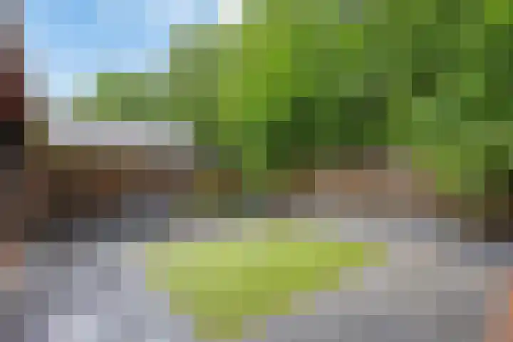 Peelhoeven 19 Rosmalen thumbnail 19