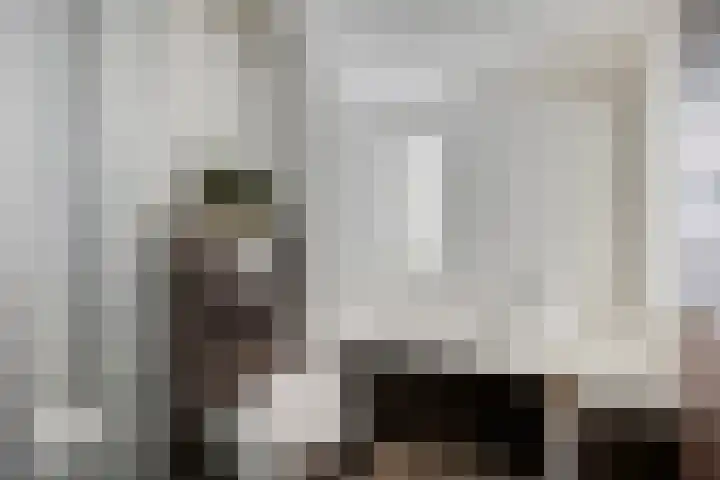 Peelhoeven 19 Rosmalen thumbnail 25
