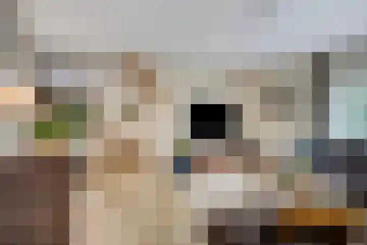 Peelhoeven 19 Rosmalen thumbnail 5