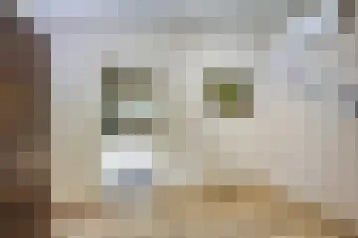 Peelhoeven 19 Rosmalen thumbnail 8