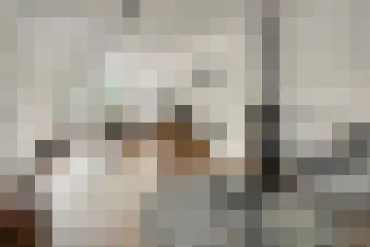 Peelhoeven 5 Rosmalen thumbnail 10