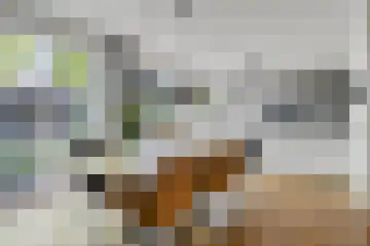 Peelhoeven 5 Rosmalen thumbnail 11