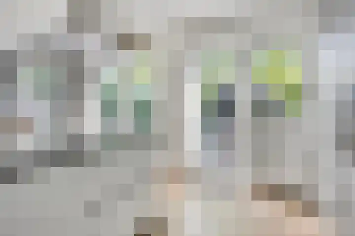 Peelhoeven 5 Rosmalen thumbnail 13