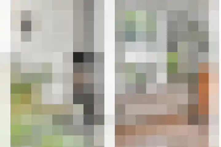 Peelhoeven 5 Rosmalen thumbnail 16