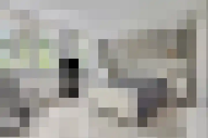 Peelhoeven 5 Rosmalen thumbnail 20