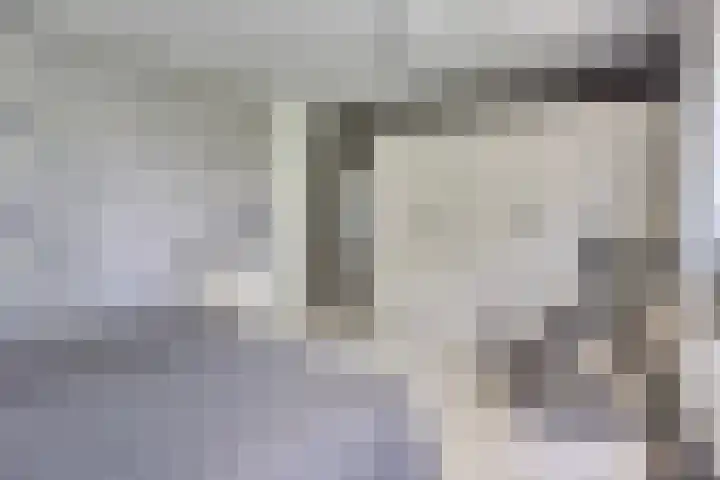 Peelhoeven 5 Rosmalen thumbnail 21