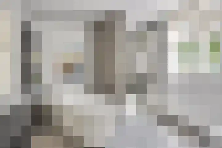Peelhoeven 5 Rosmalen thumbnail 22