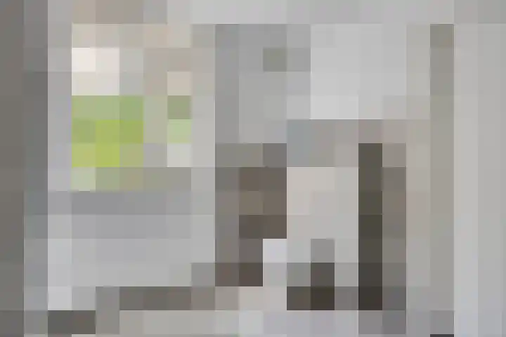 Peelhoeven 5 Rosmalen thumbnail 24