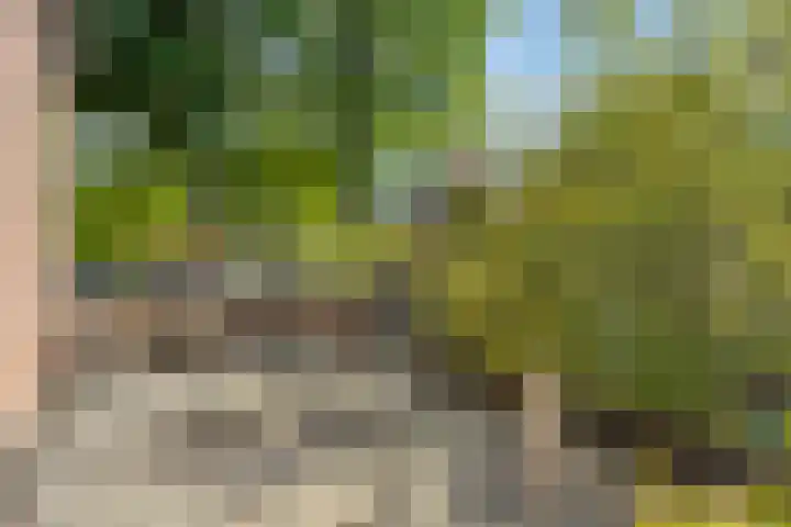 Peelhoeven 5 Rosmalen thumbnail 25