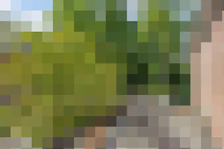 Peelhoeven 5 Rosmalen thumbnail 26
