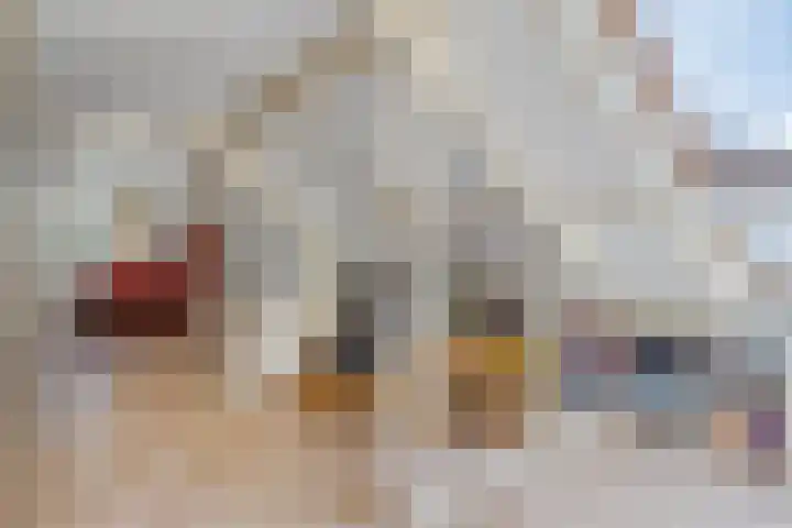 Peelhoeven 5 Rosmalen thumbnail 30