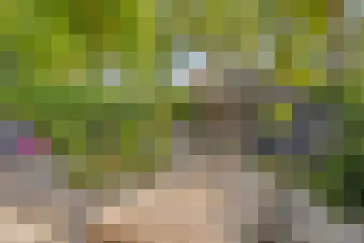 Peelhoeven 5 Rosmalen thumbnail 32