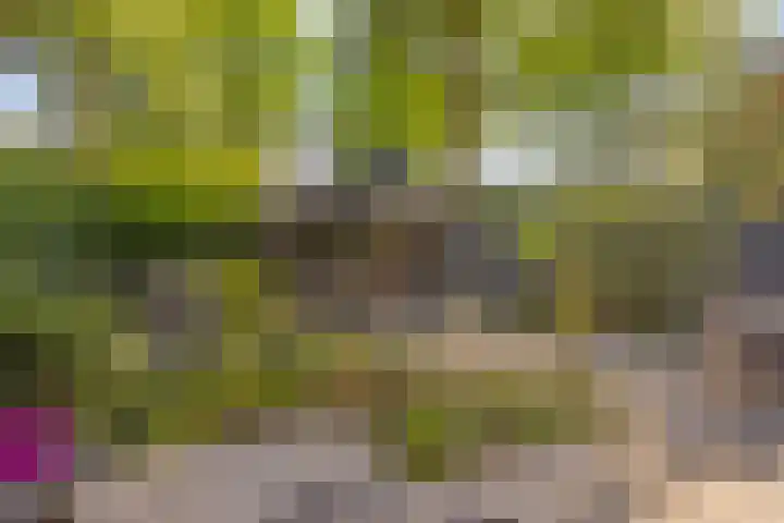 Peelhoeven 5 Rosmalen thumbnail 33