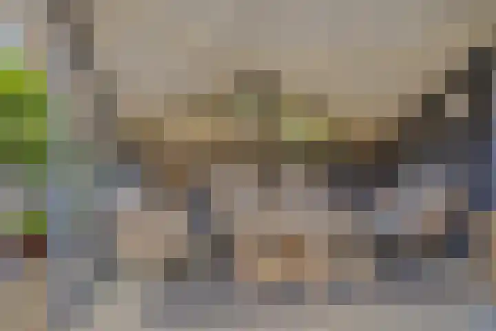 Peelhoeven 5 Rosmalen thumbnail 34