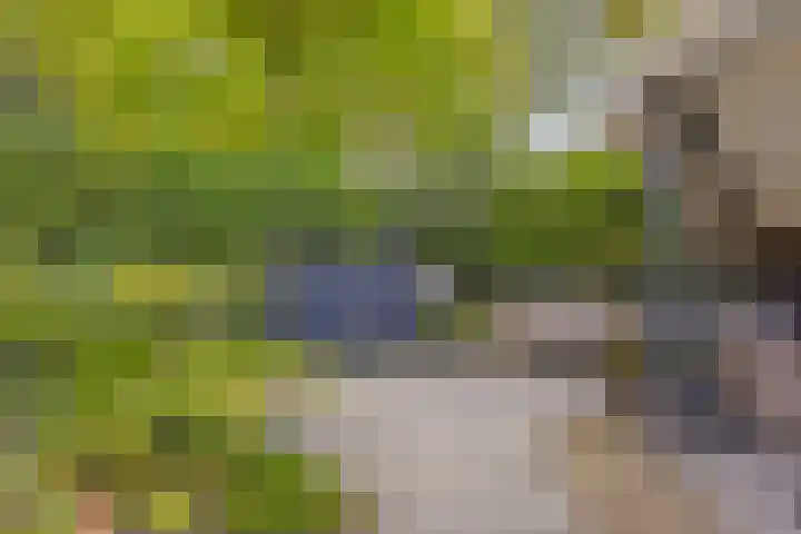 Peelhoeven 5 Rosmalen thumbnail 35