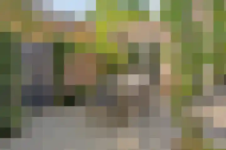 Peelhoeven 5 Rosmalen thumbnail 36