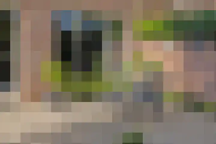 Peelhoeven 5 Rosmalen thumbnail 37