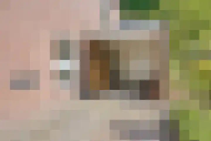 Peelhoeven 5 Rosmalen thumbnail 39