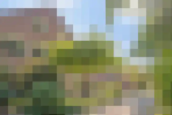 Peelhoeven 5 Rosmalen thumbnail 40
