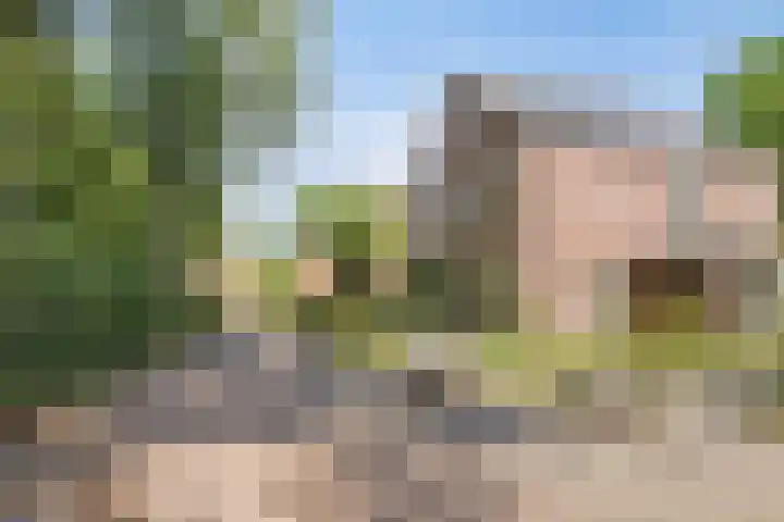 Peelhoeven 5 Rosmalen thumbnail 41