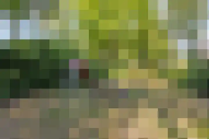 Peelhoeven 5 Rosmalen thumbnail 42