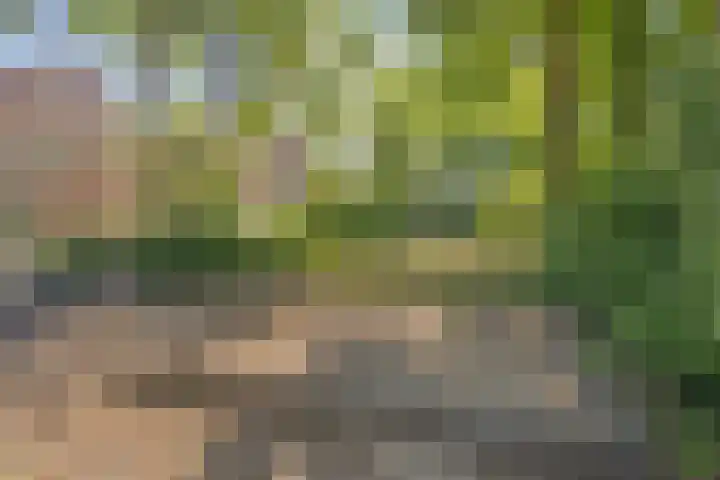 Peelhoeven 5 Rosmalen thumbnail 43