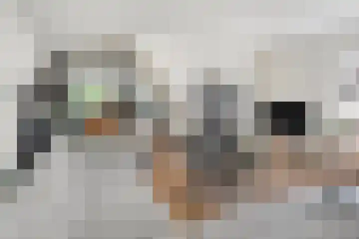 Peelhoeven 5 Rosmalen thumbnail 7