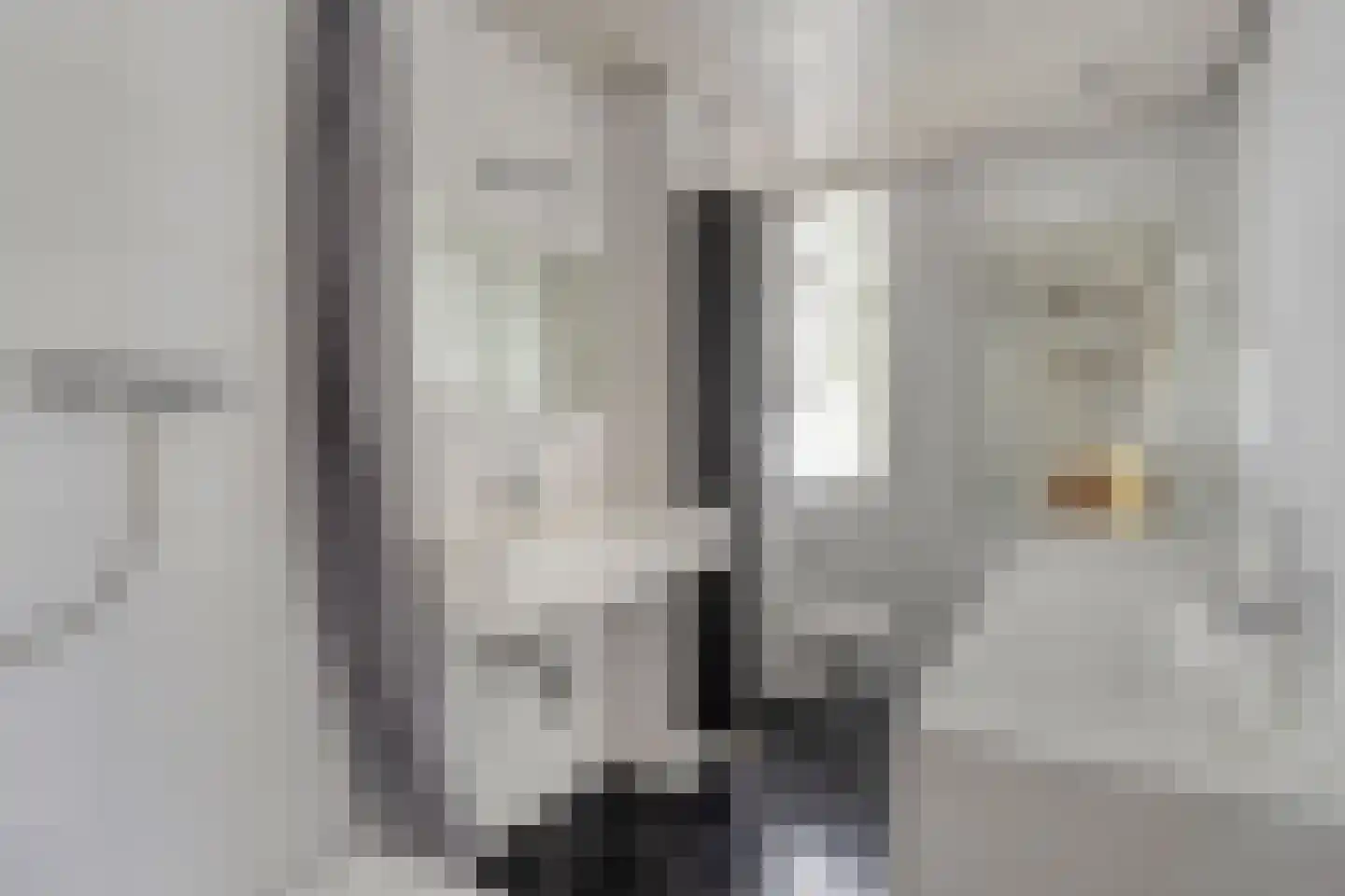 Peelhoeven 7 Rosmalen thumbnail 18