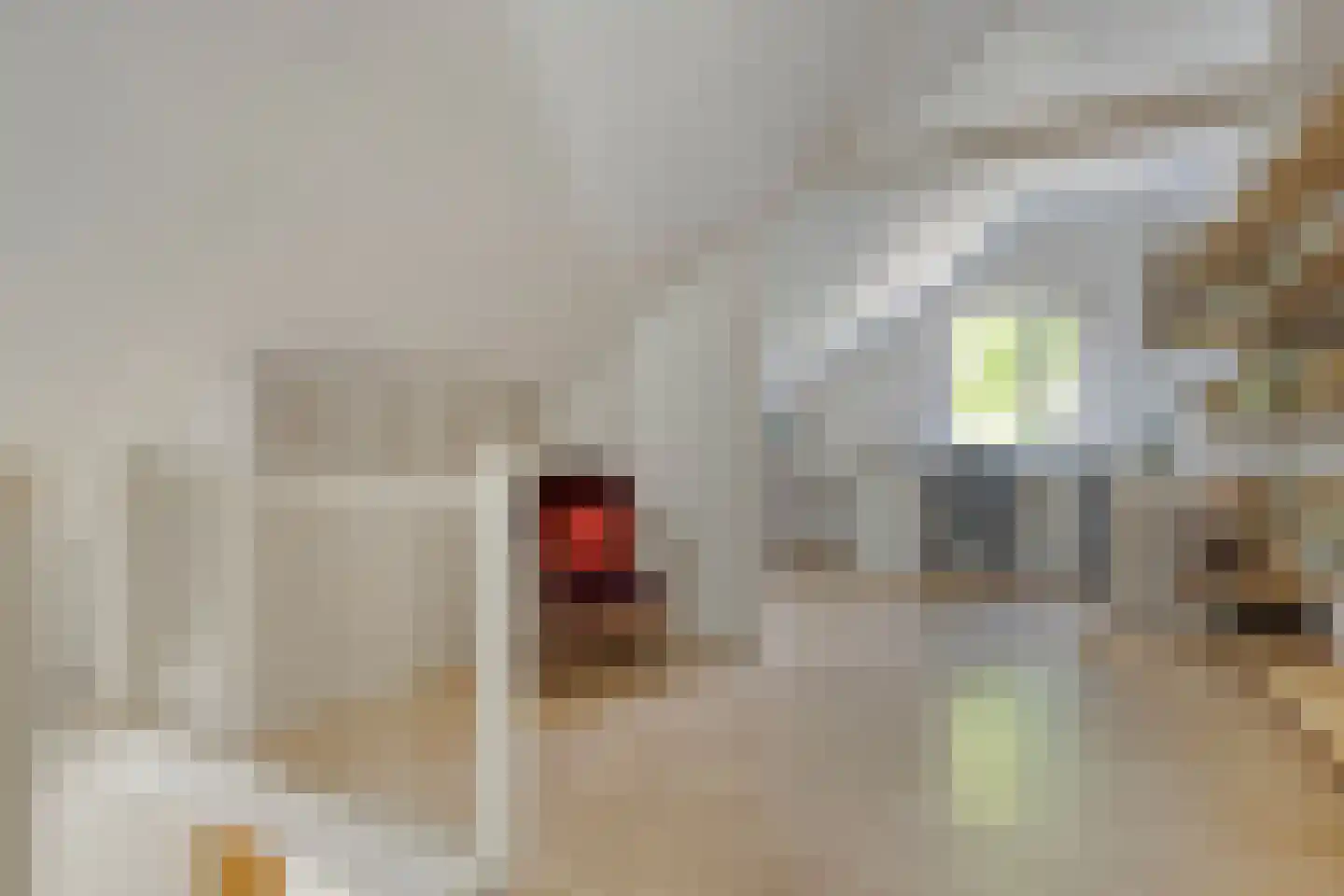 Peelhoeven 7 Rosmalen thumbnail 20