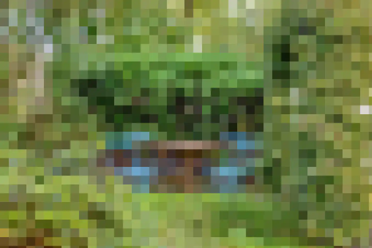 Peelhoeven 7 Rosmalen thumbnail 24
