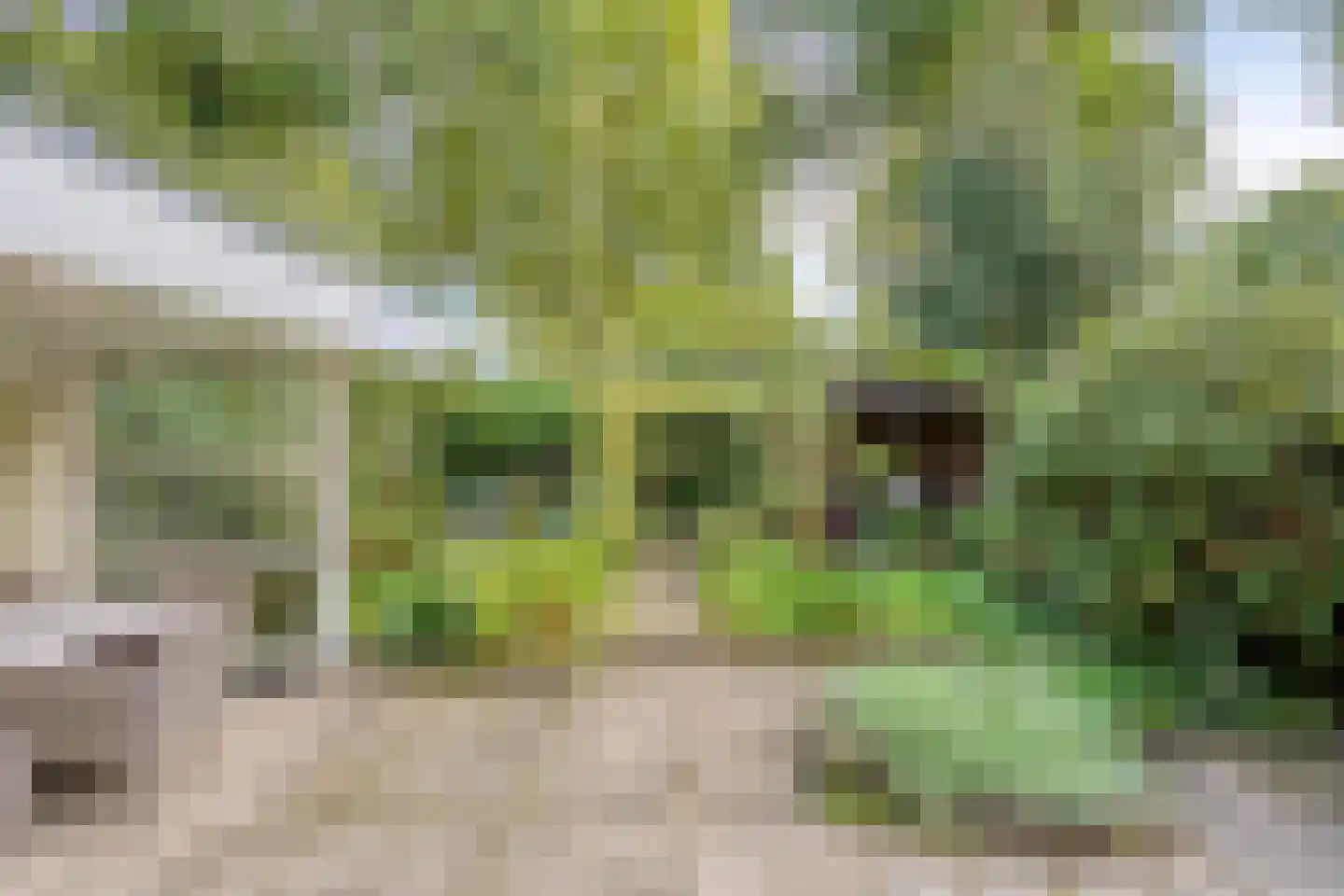 Peelhoeven 7 Rosmalen thumbnail 26