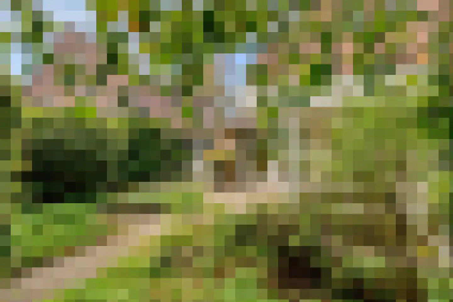 Peelhoeven 7 Rosmalen thumbnail 28