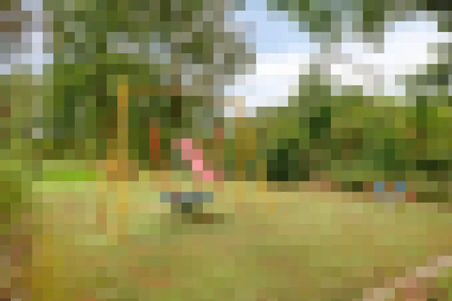 Peelhoeven 7 Rosmalen thumbnail 35