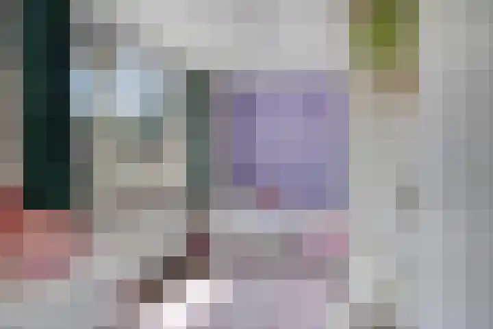 Peelhof 109 Helmond thumbnail 20