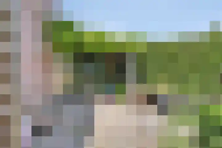 Peelhof 109 Helmond thumbnail 26