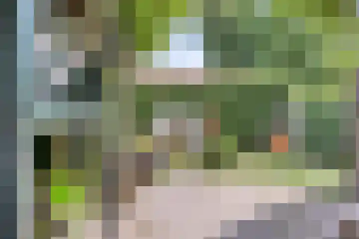 Peelhof 109 Helmond thumbnail 5