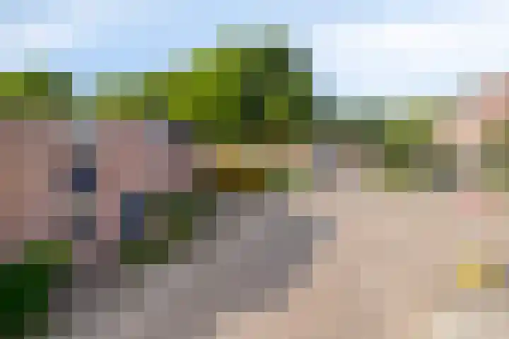 Peelhof 123 Helmond thumbnail 10