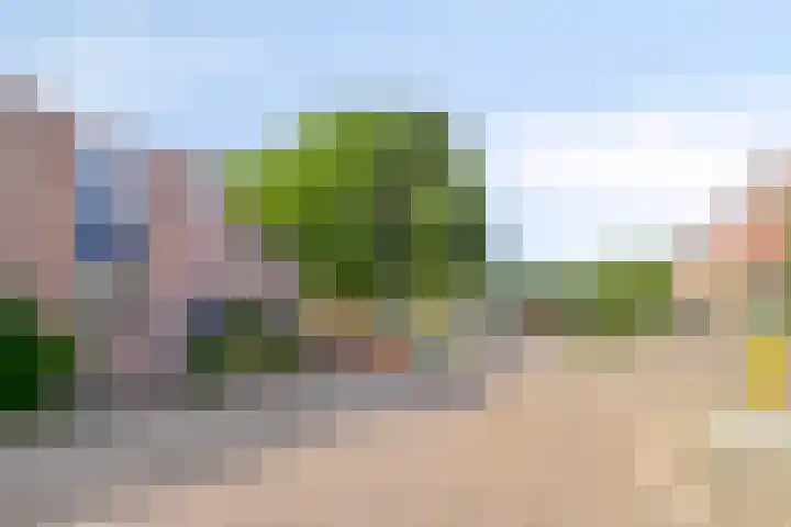 Peelhof 123 Helmond thumbnail 11
