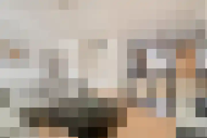 Peelhof 123 Helmond thumbnail 16