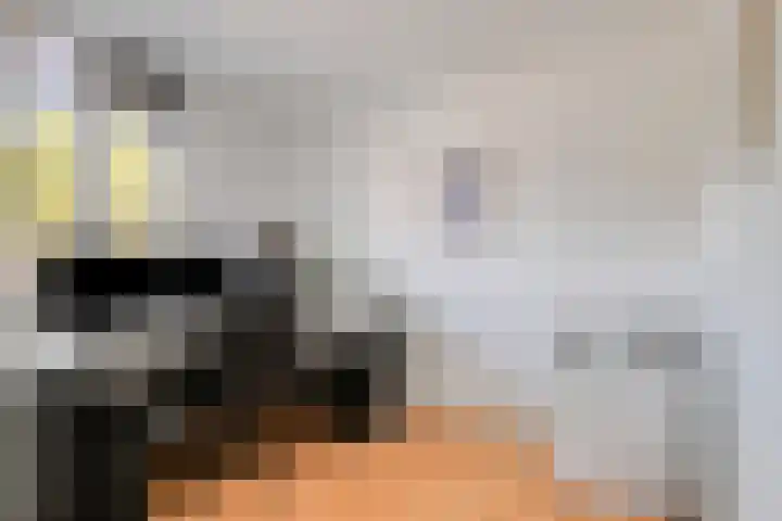 Peelhof 123 Helmond thumbnail 24