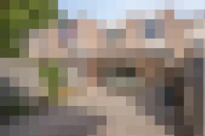 Peelhof 123 Helmond thumbnail 28