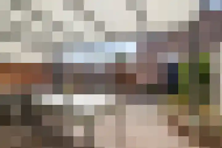 Peelhof 123 Helmond thumbnail 32