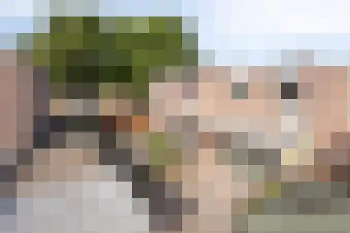 Peelhof 123 Helmond thumbnail 33